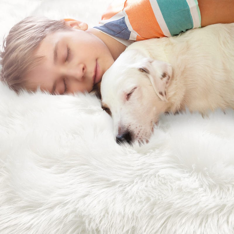 Noahas White Faux Fur Rug,Luxury Fluffy Rugs for Bedroom,2 x 4 Feet Washable Area Rugs,Sheepskin Bedroom Rug,Furry Carpet Small Shag Rug,Soft Throw Rugs for Living Room Decor - Image 5